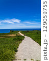 海へ続く道 129059755