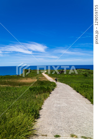 海へ続く道 129059755