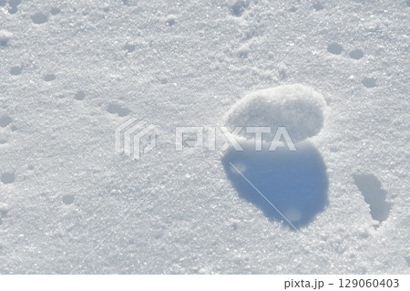 雪イメージ 129060403