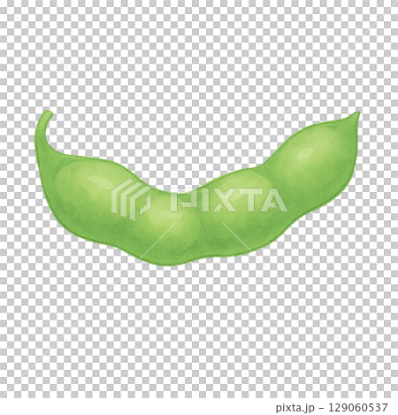 枝豆のイラスト素材 129060537