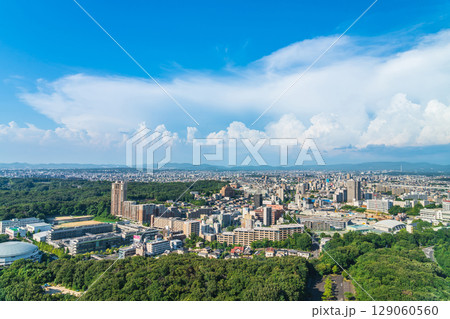 夏の名古屋市街地、東山スカイタワーからの眺め〈愛知県名古屋市〉 129060560