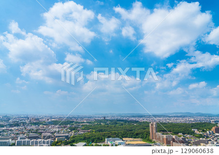 夏の名古屋市街地、東山スカイタワーからの眺め〈愛知県名古屋市〉 夏の名古屋市街地、東山スカイタワーからの眺め〈愛知県名古屋市〉 129060638