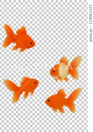 Goldfish Goldfish 129061425