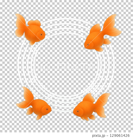 金魚 129061426