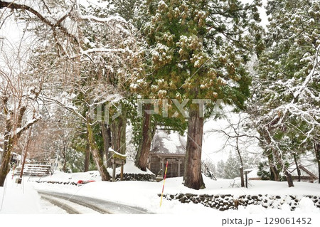 冬の高柳かやぶき環状集落（新潟県） 129061452