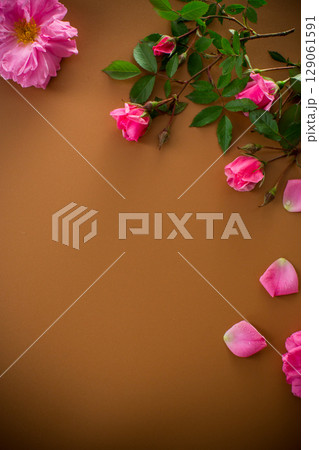 Pink petals and branches with buds on brown background 129061591