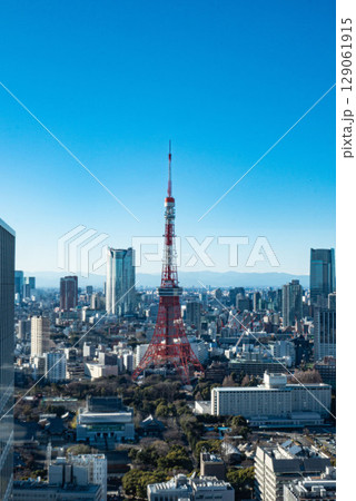 東京タワーと密集するビルの都市風景 東京タワーと密集するビルの都市風景 129061915