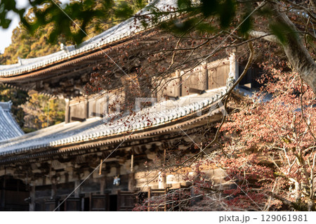 書写山円教寺・晩秋の紅葉と風情ある古刹の情景 129061981