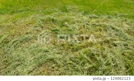 Mown Grass Lies in the Meadow Mown Grass Lies in the Meadow 129062123
