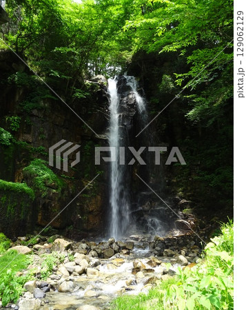 初夏の新緑に包まれた小野の滝 129062129