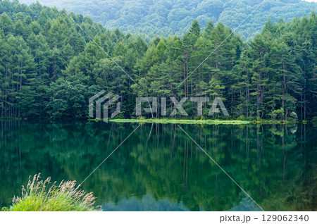 夏の御射鹿池 129062340