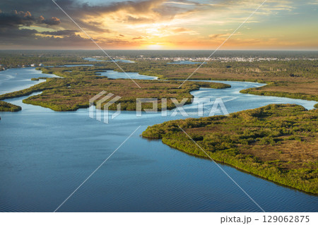 Myakka river in North Port, Florida. Subtropical swamp with wild vegetation in southern USA 129062875