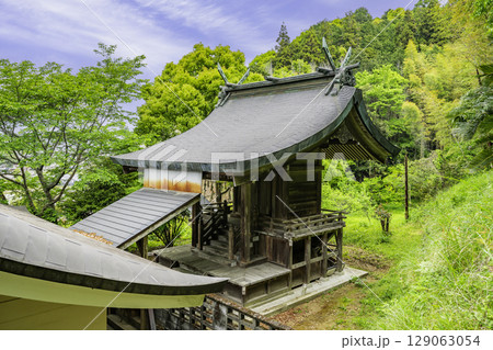 武市半平太旧宅 瑞山神社 社殿 高知県高知市 武市半平太旧宅 瑞山神社 社殿 高知県高知市 129063054