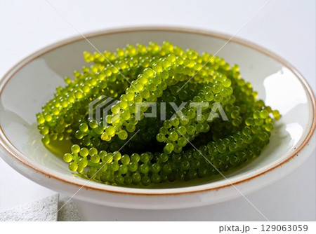 海ぶどう 129063059