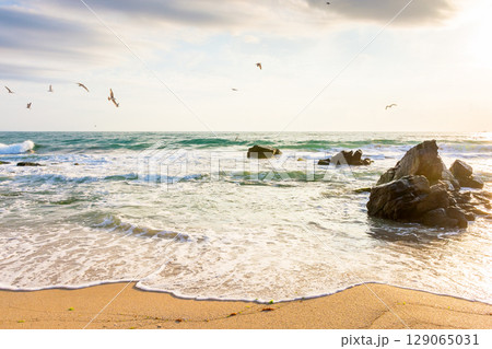 sand beach with rock in morning sunlight. beautiful travel background near water. nature scenery with waves for relax and holiday season. inspiration backdrop 129065031