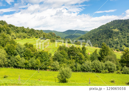 countryside mountain landscape in summer. rural field and forest on the rolling hills of carpathians under cloudy sky. scenic view of alpine scenery on a sunny afternoon 129065038