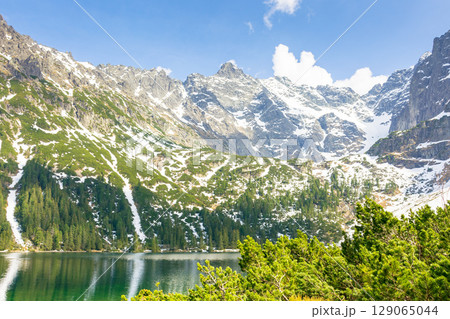 alpine lake in spring on a sunny day. travel landscape of rysy ridge in high tatra mountains of poland. snow among rocks and spruce forest on the hillside reflection in water. blue sky with clouds 129065044