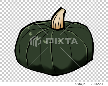 Brush pumpkin autumn vegetables green and yellow vegetables 129065510