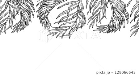 Seamless border of tropical palm fronds vector outline isolated on white. Tropical foliage black white on repeated edge. Leaves horizontal pattern for designs wrapping paper, packaging, textile. Seamless border of tropical palm fronds vector outline isolated on white. Tropical foliage black white on repeated edge. Leaves horizontal pattern for designs wrapping paper, packaging, textile. 129066645