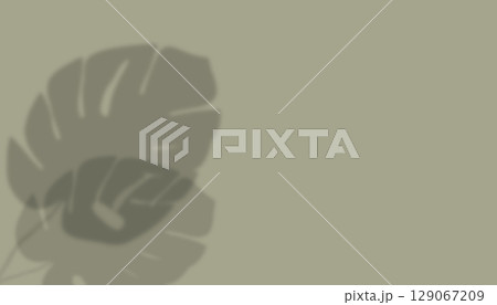 shadow from plant branches on green background shadow from plant branches on green background 129067209