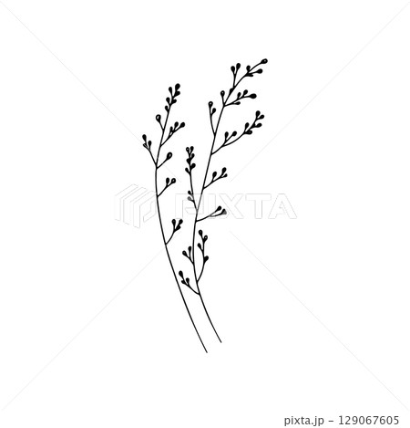 Single Botanical Twig Drawing. A hand drawn floral branch with small leaves in a natural and minimalist style. 129067605