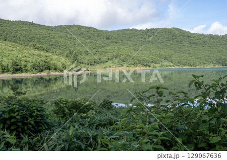 緑豊かな山々に囲まれた野反湖の風景 緑豊かな山々に囲まれた野反湖の風景 129067636