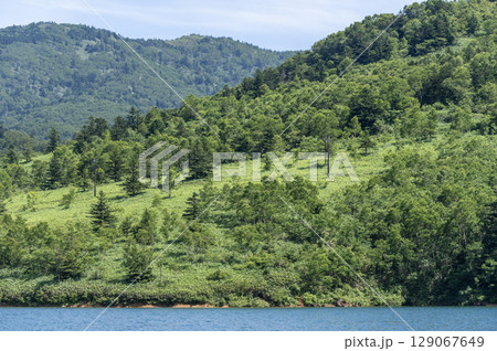 野反湖の青い湖面と緑豊かな山肌 129067649