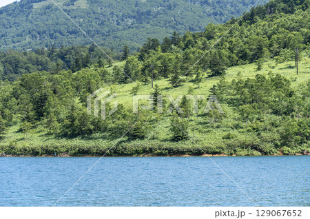野反湖の青い湖面と緑豊かな山肌 129067652