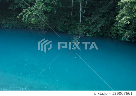 深い緑に囲まれた白砂ダムのエメラルドグリーンの湖面 129067661