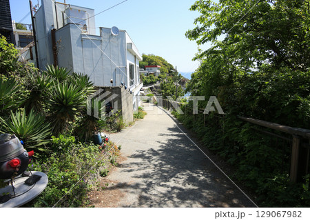 兵庫県赤穂市　赤穂御崎遊歩道 129067982
