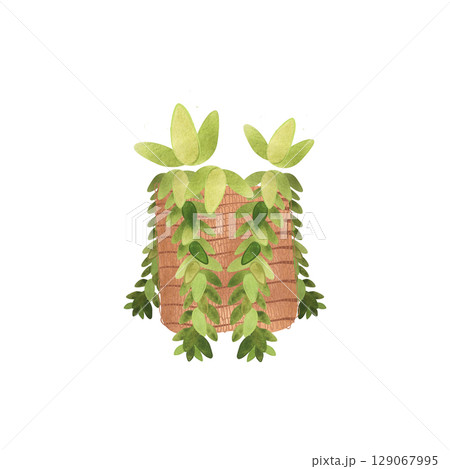 Succulent in a basket. Rustic interior decoration. Isolated watercolor illustration. Succulent in a basket. Rustic interior decoration. Isolated watercolor illustration. 129067995