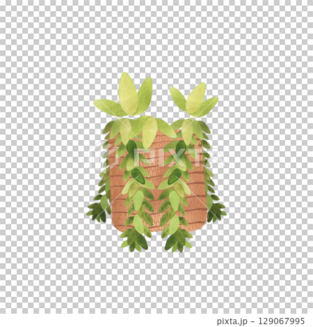 Succulent in a basket. Rustic interior decoration. Isolated watercolor illustration. 129067995