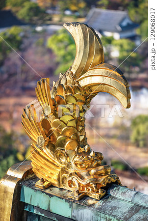 [大阪] 大阪城の屋根に立つ黄金のシャチホコのクローズアップ撮影。 129068017