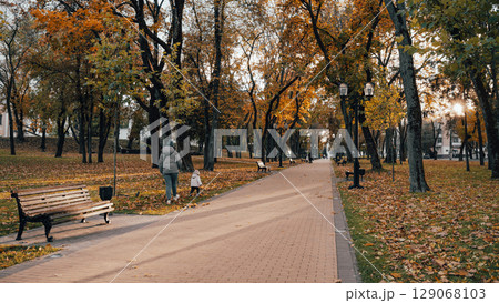 Autumn Park Pathway with Benches and Colorful Trees Autumn Park Pathway with Benches and Colorful Trees 129068103