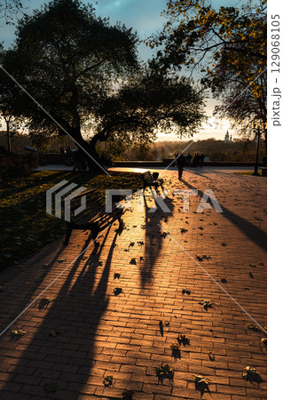 Golden Hour Shadows in Autumn Park with Tree and Bench Golden Hour Shadows in Autumn Park with Tree and Bench 129068105
