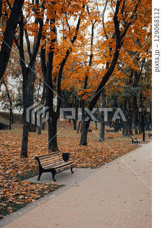 Autumn Park Pathway with Benches and Colorful Trees 129068112