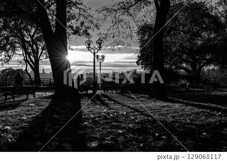 Black and White Autumn Park Scene at Sunset with Starburst Sun and Benches Black and White Autumn Park Scene at Sunset with Starburst Sun and Benches 129068117