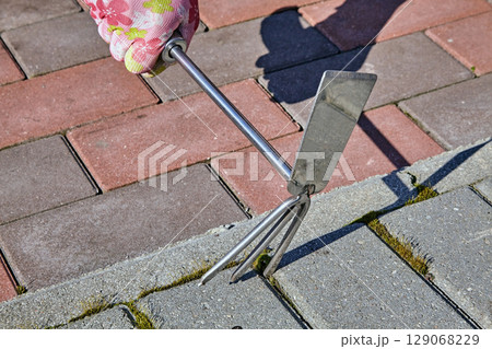 hand with hoe in garden glove clears tiled path from weeds. hand with hoe in garden glove clears tiled path from weeds. 129068229