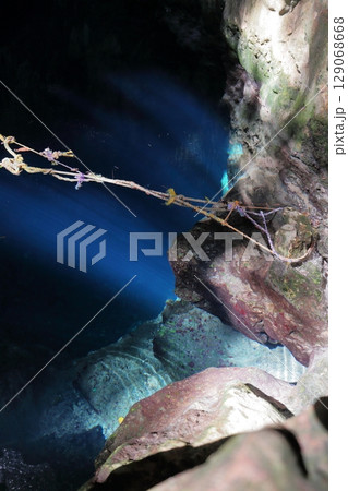 中米メキシコのメリダ近郊にあるクサマのセノーテ 中米メキシコのメリダ近郊にあるクサマのセノーテ 129068668