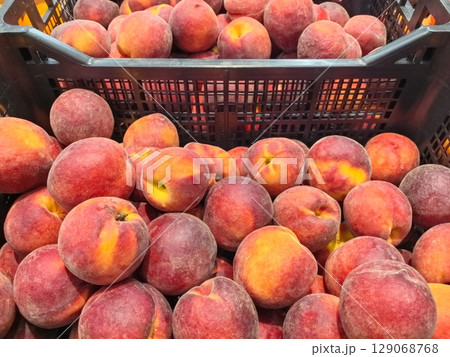 Fresh and ripe peaches gathered in a market basket ready for harvest enjoyment Fresh and ripe peaches gathered in a market basket ready for harvest enjoyment 129068768