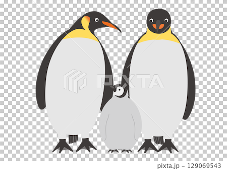 寄り添うコウテイペンギンの親子のイラスト_3匹 129069543