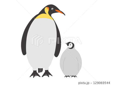 寄り添うコウテイペンギンの親子のイラスト_2匹 129069544