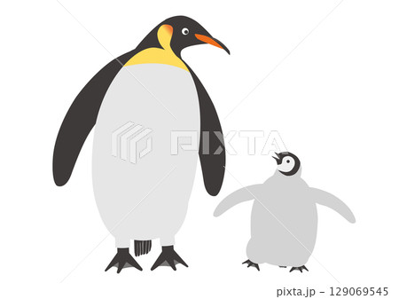 向かい合うコウテイペンギンの親子のイラスト_正面 129069545
