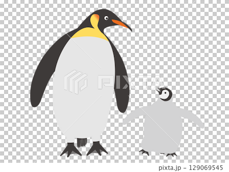 向かい合うコウテイペンギンの親子のイラスト_正面 129069545
