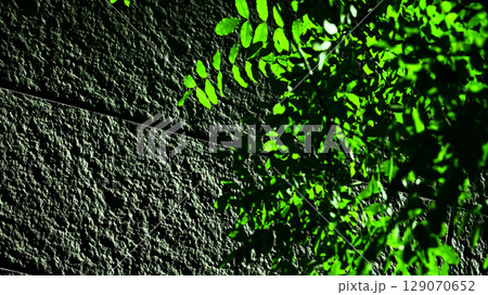 ブロック塀と植物 ブロック塀と植物 129070652