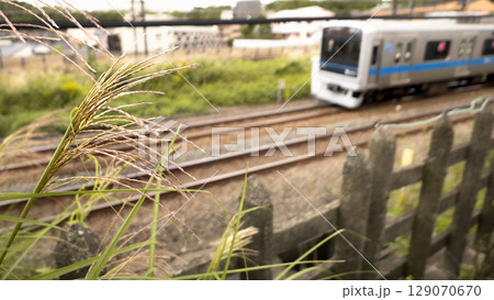 秋にススキの中を走る小田急線の電車のローカルな雰囲気の写真 129070670