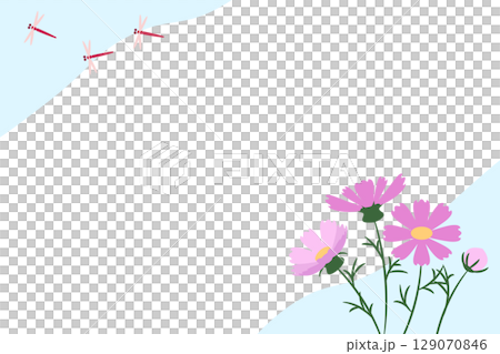 粉紅波斯菊與藍天風景插畫素材 129070846