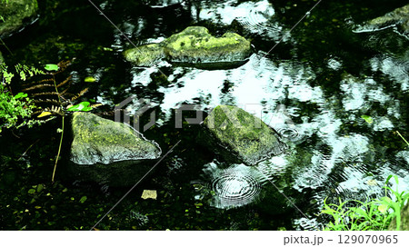 水辺 水辺 129070965