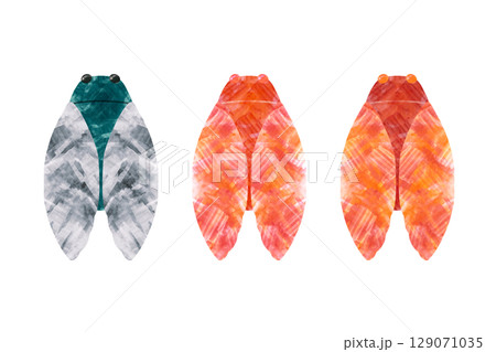 セミ セミ 129071035