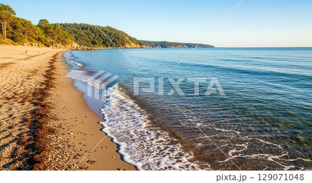 朝日に照らされる砂浜 朝日に照らされる砂浜 129071048